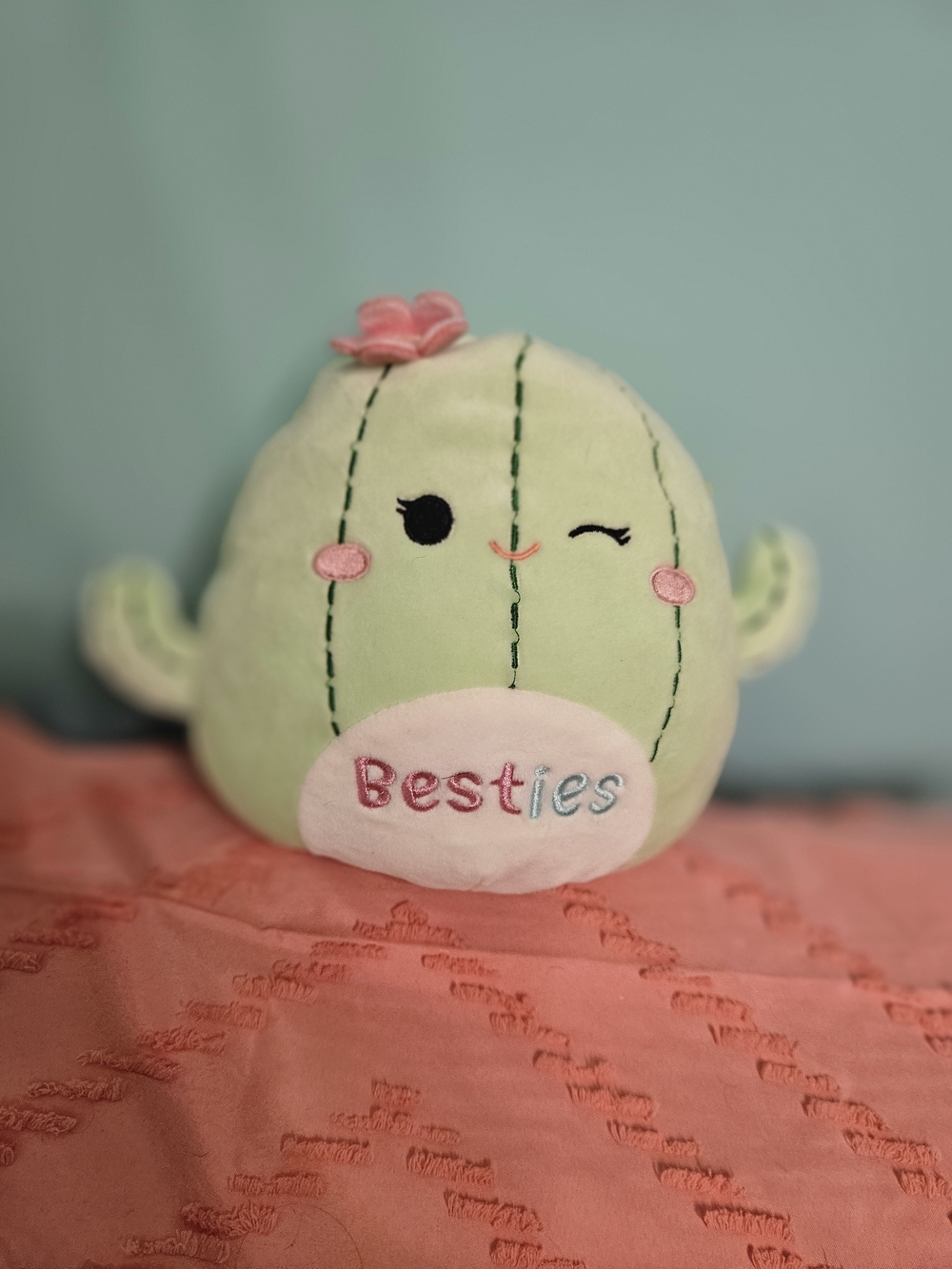 Squishmallows Green and Pink Cactus Plush - Besties Embroidered